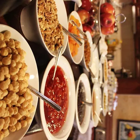 酒店 莎尔坦希尔酒店